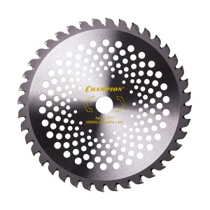 Нож с зубцами из твердого сплава Speed 40/255/25,4 (SRM-330ES/SRM-350ES,4605,T433,T523,T437,T517) Champion C5173