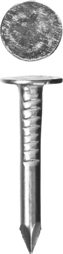Гвозди с большой потайной головкой, 25 x 3 мм, цинк, 5 кг, ЗУБР 305090-30-025 — фото 1