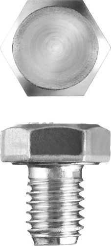 Болт, кл. пр. 5.8, M8 х 10 мм, цинк, 5 кг, ЗУБР ГОСТ 7798-70 303080-08-010 — фото 1