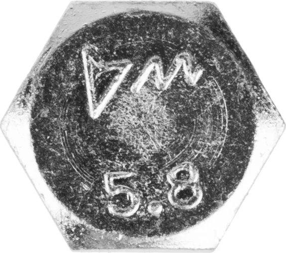 Болт, кл. пр. 5.8, M12 х 60 мм, цинк, 5 кг, ЗУБР ГОСТ 7798-70 303080-12-060 — фото 2