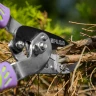 Сучкорез с наковальней, 710 мм, двухрычажный механизм, двухкомпонентные рукоятки, Palisad 60520 — фото 11