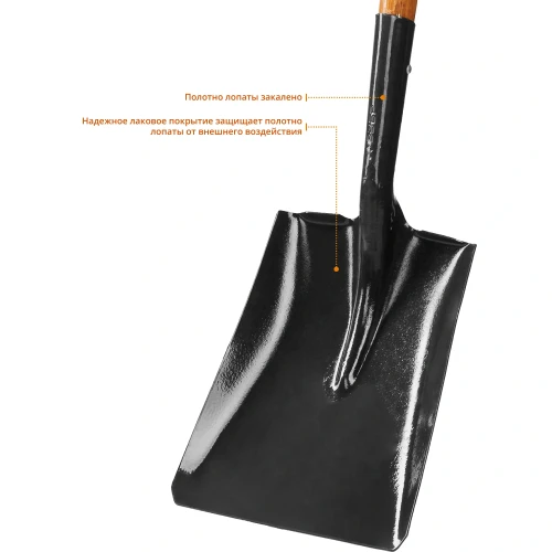 Закаленное полотно, 120 см, деревянный черенок из дуба, D-рукоятка, совковая лопата, ЗУБР Профи-10 39363_z02 — фото 4