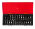 Набор бит-головок 1/2" HEX H4-H14, TORX T20-T60,SPLINE M5-M12 25 предметов JTC-K4251 — фото 2